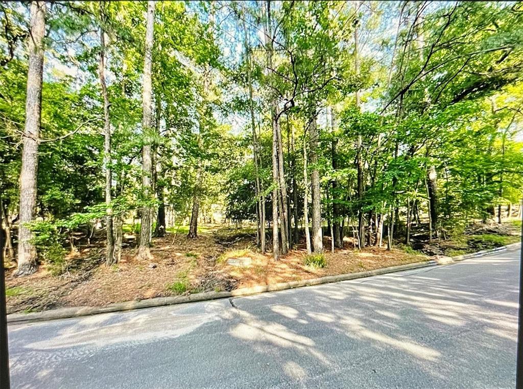 1912 E Lake Drive, Huntsville, Texas image 1