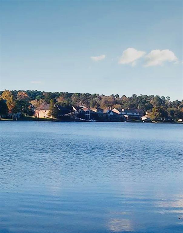1912 E Lake Drive, Huntsville, Texas image 3