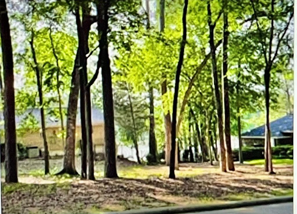 1912 E Lake Drive, Huntsville, Texas image 2