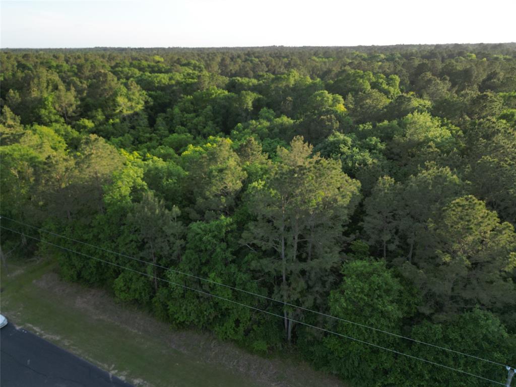 17746 Derby Drive, Waller, Texas image 3