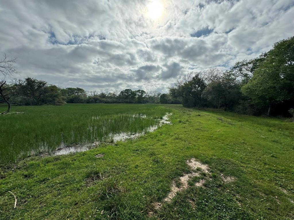 TBD County Road 394, El Campo, Texas image 3