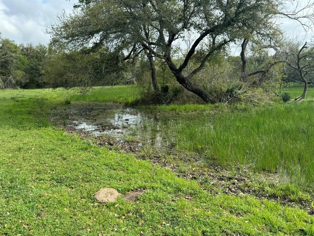 TBD County Road 394, El Campo, Texas image 2