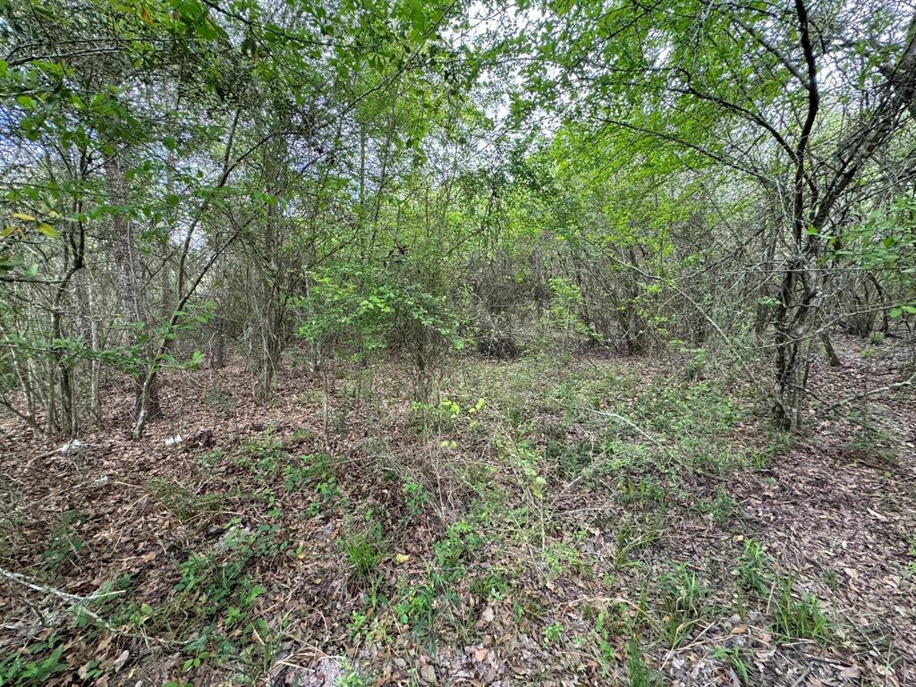 TBD County Road 394, El Campo, Texas image 28