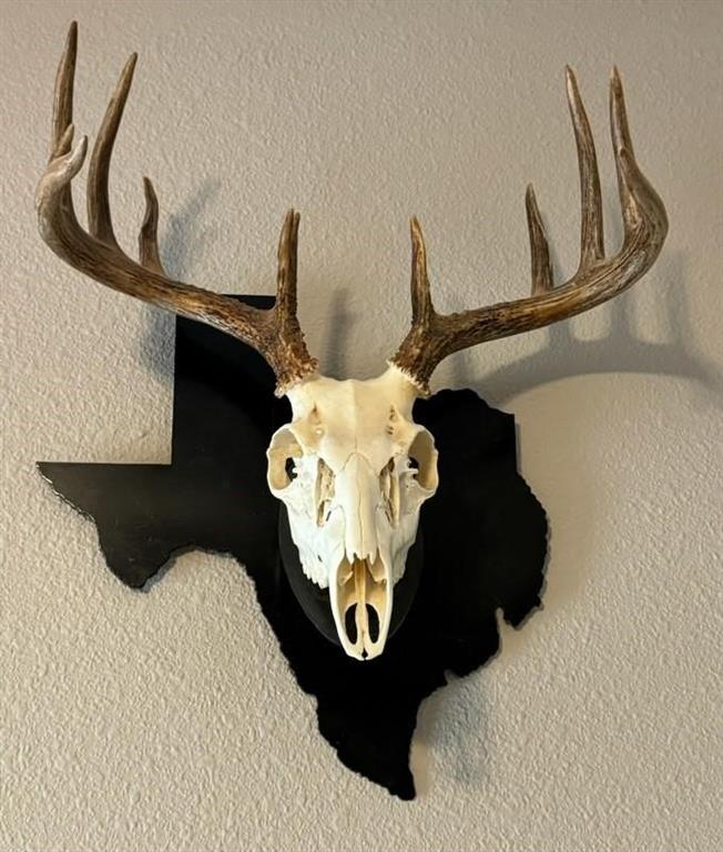 TBD County Road 394, El Campo, Texas image 39