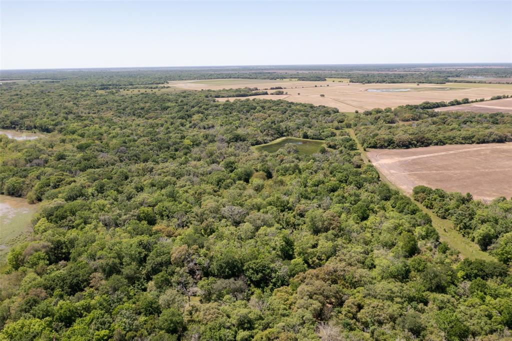 TBD County Road 394, El Campo, Texas image 6