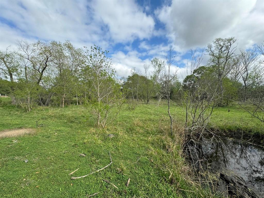 TBD County Road 394, El Campo, Texas image 24