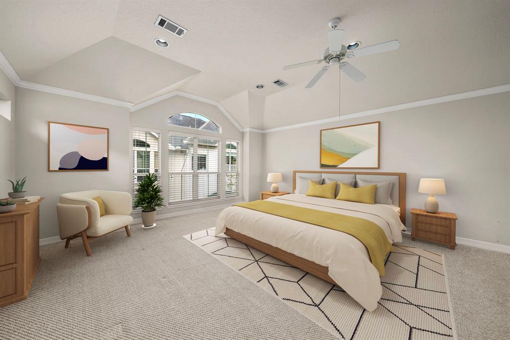 920 Asbury Street, Houston, Texas image 2