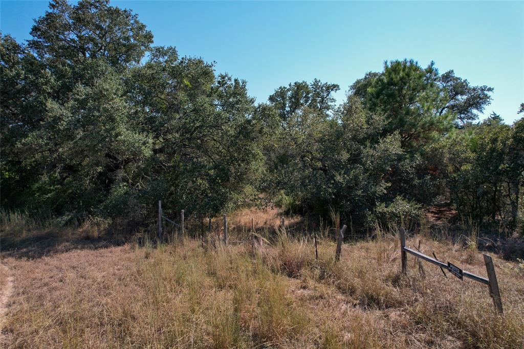 Tract 2 County Road 157a, Hallettsville, Texas image 26