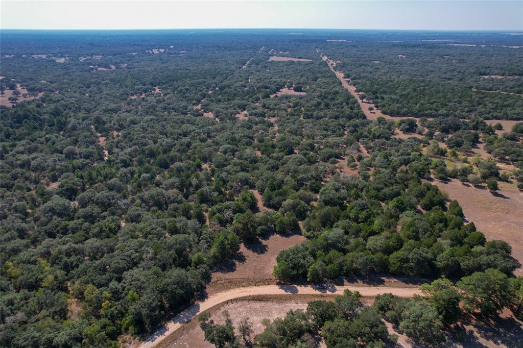 Tract 2 County Road 157a, Hallettsville, Texas image 10