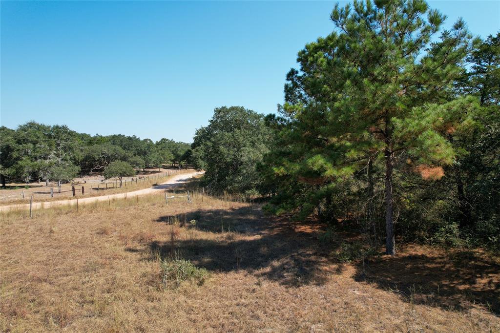 Tract 2 County Road 157a, Hallettsville, Texas image 7