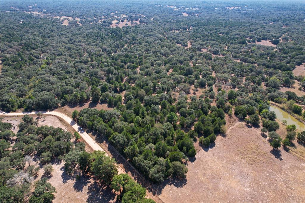 Tract 2 County Road 157a, Hallettsville, Texas image 11