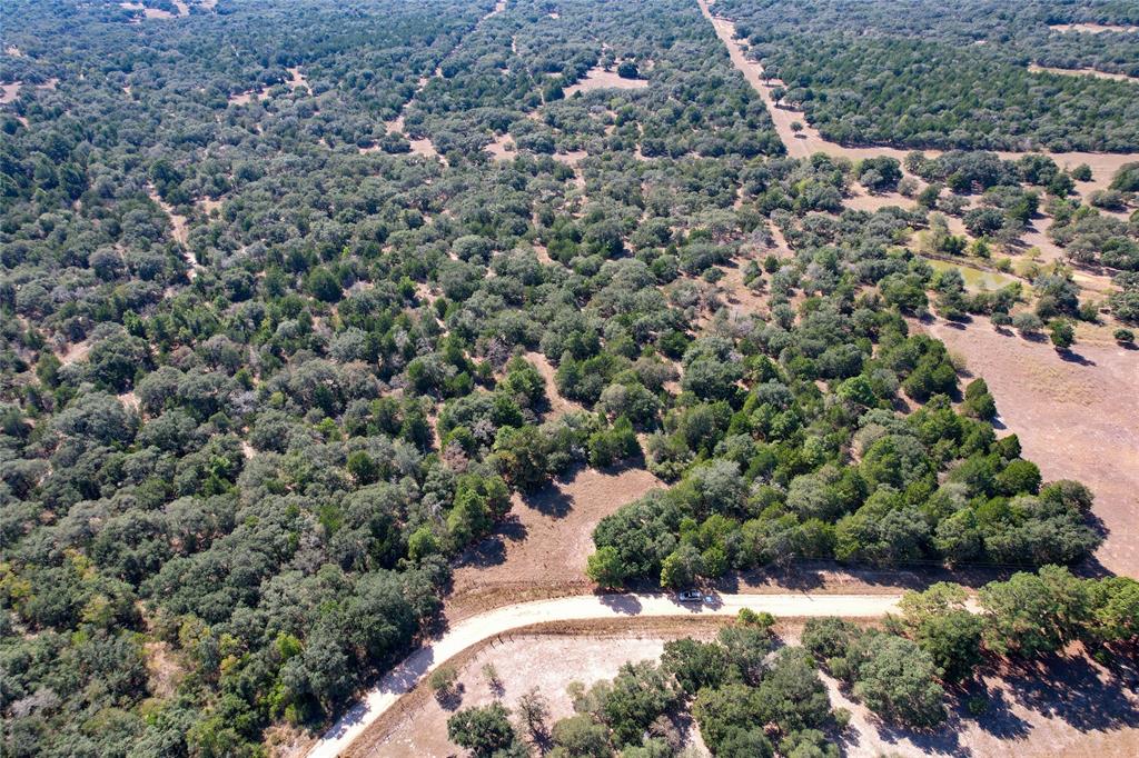 Tract 2 County Road 157a, Hallettsville, Texas image 9