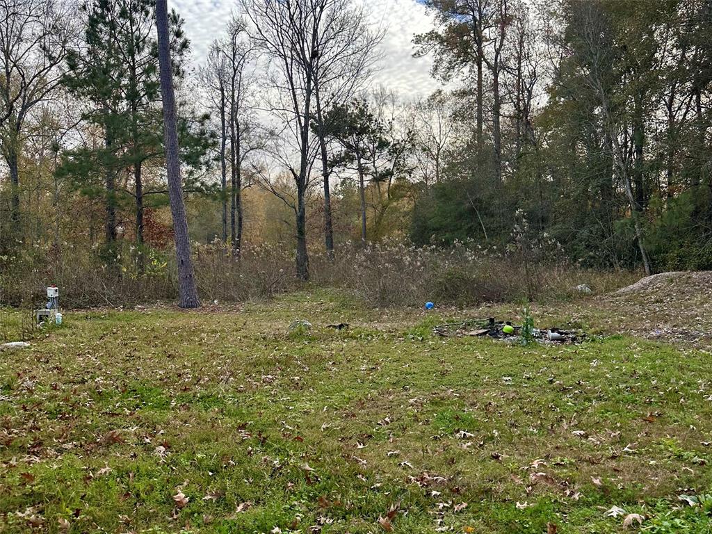 27646 Midlane Street, Splendora, Texas image 6