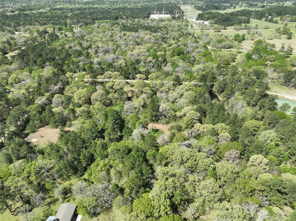TBD Cr 351, Plantersville, Texas image 14