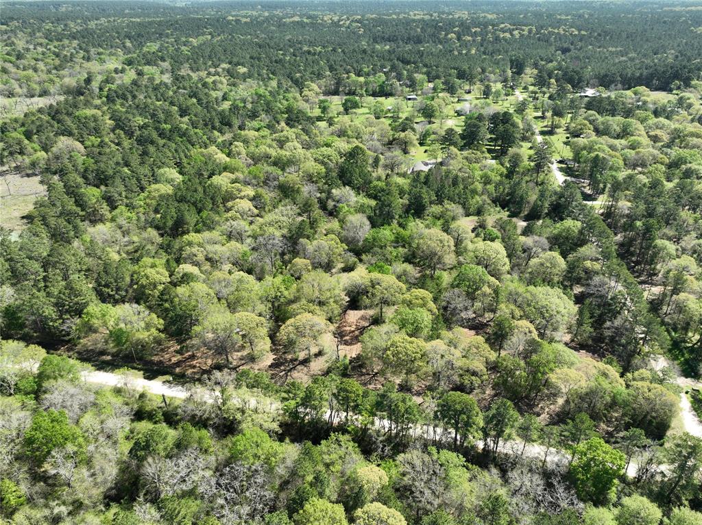 TBD Cr 351, Plantersville, Texas image 21