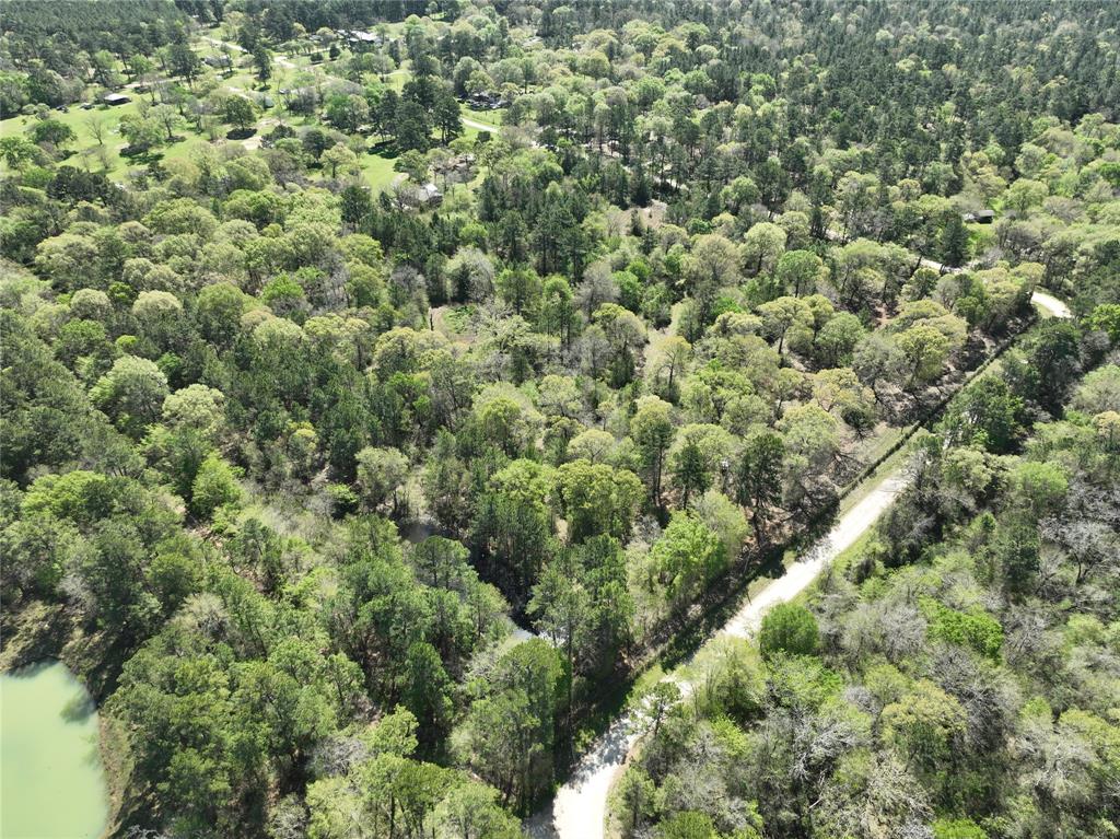 TBD Cr 351, Plantersville, Texas image 9