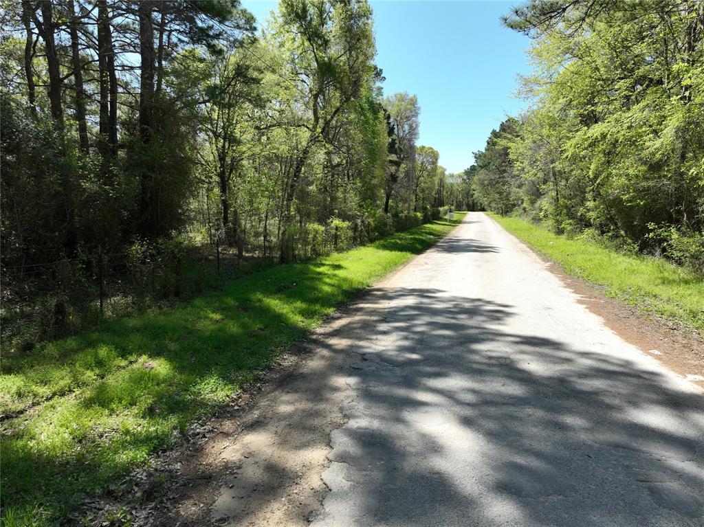 TBD Cr 351, Plantersville, Texas image 25
