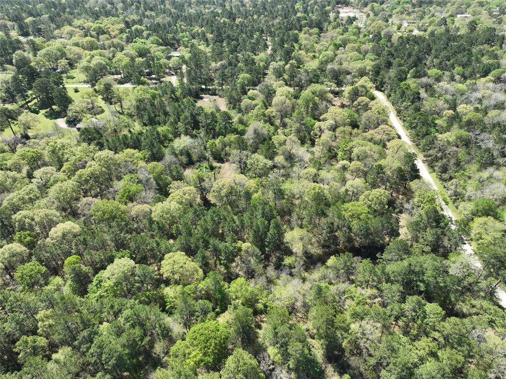 TBD Cr 351, Plantersville, Texas image 11