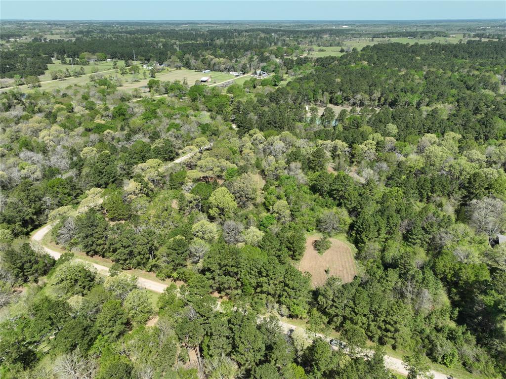 TBD Cr 351, Plantersville, Texas image 17