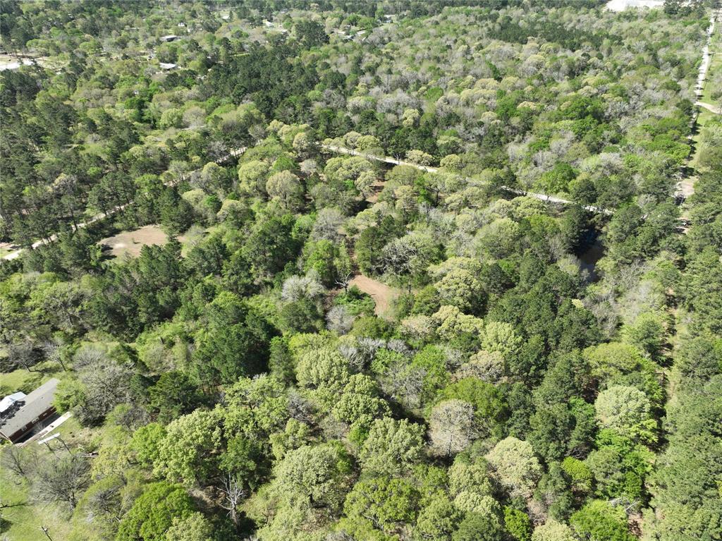 TBD Cr 351, Plantersville, Texas image 13