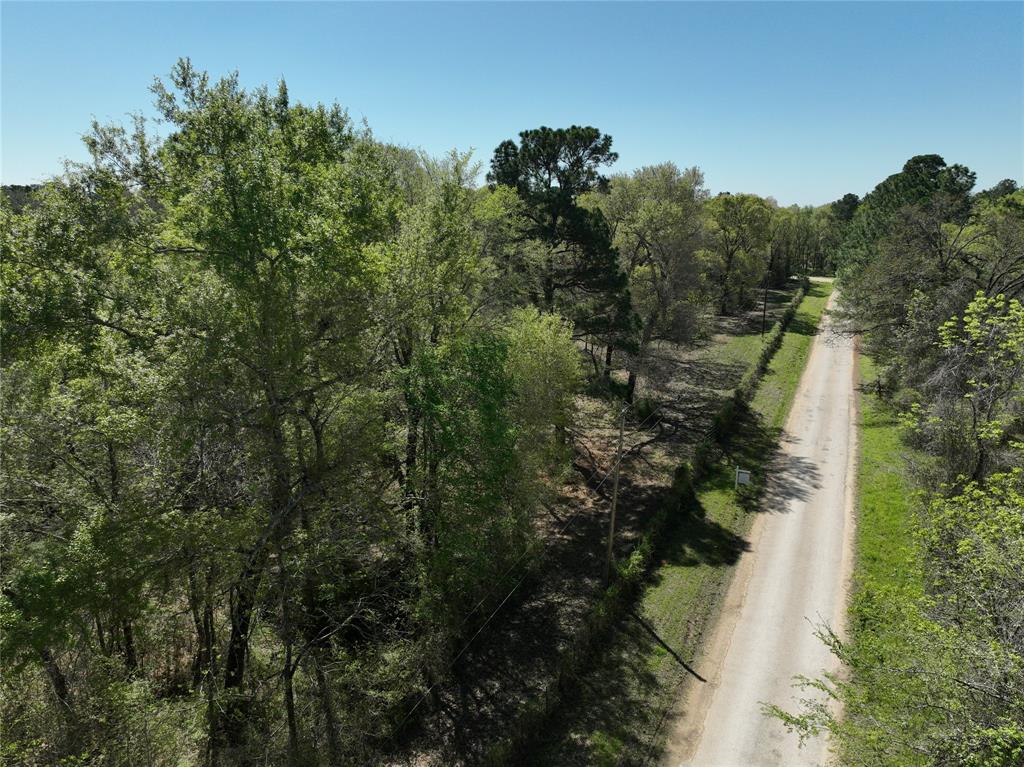 TBD Cr 351, Plantersville, Texas image 24