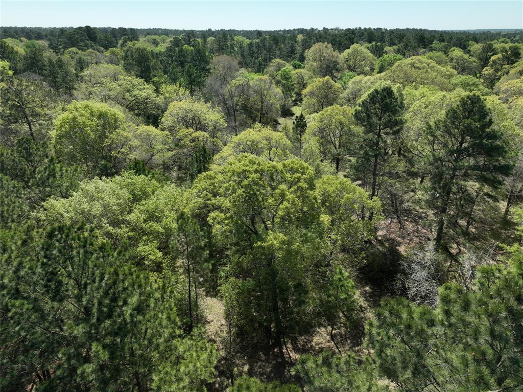 TBD Cr 351, Plantersville, Texas image 7