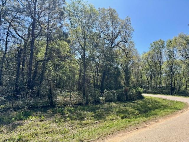 TBD Cr 351, Plantersville, Texas image 27