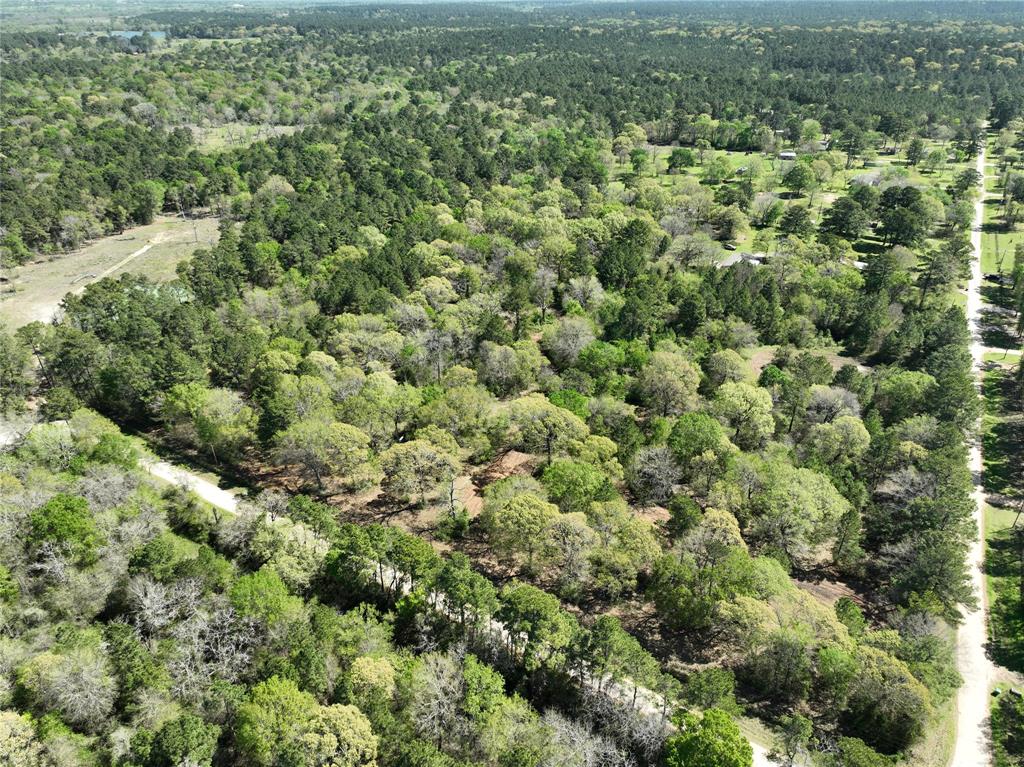 TBD Cr 351, Plantersville, Texas image 3