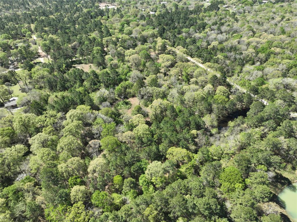 TBD Cr 351, Plantersville, Texas image 12