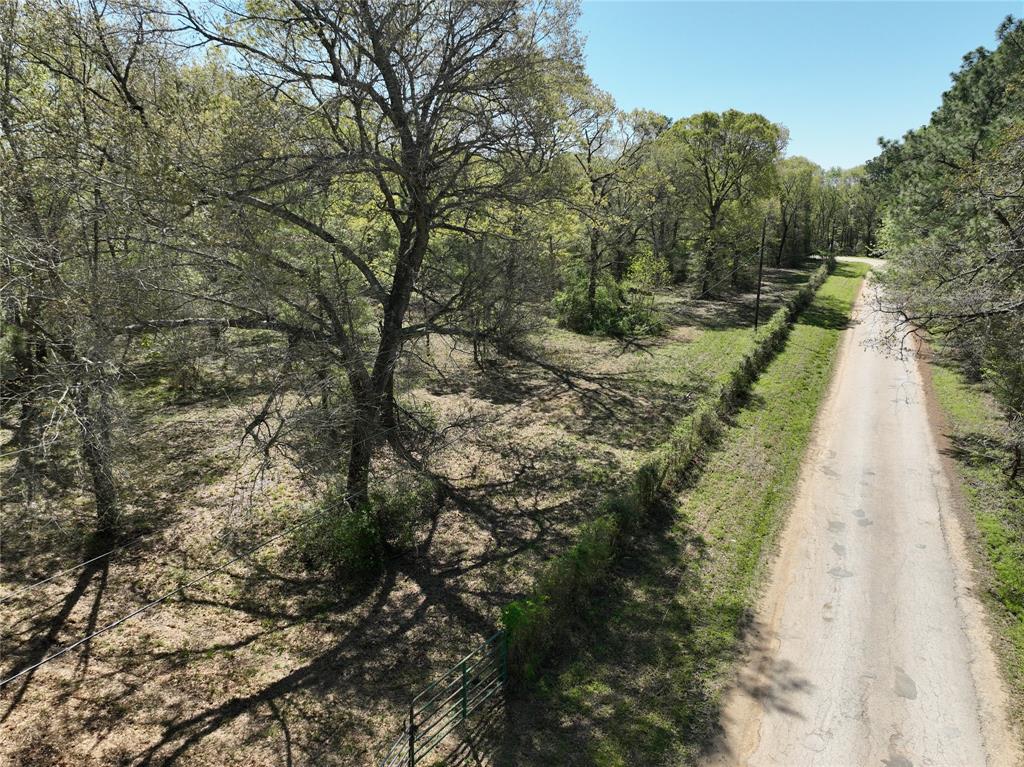 TBD Cr 351, Plantersville, Texas image 4