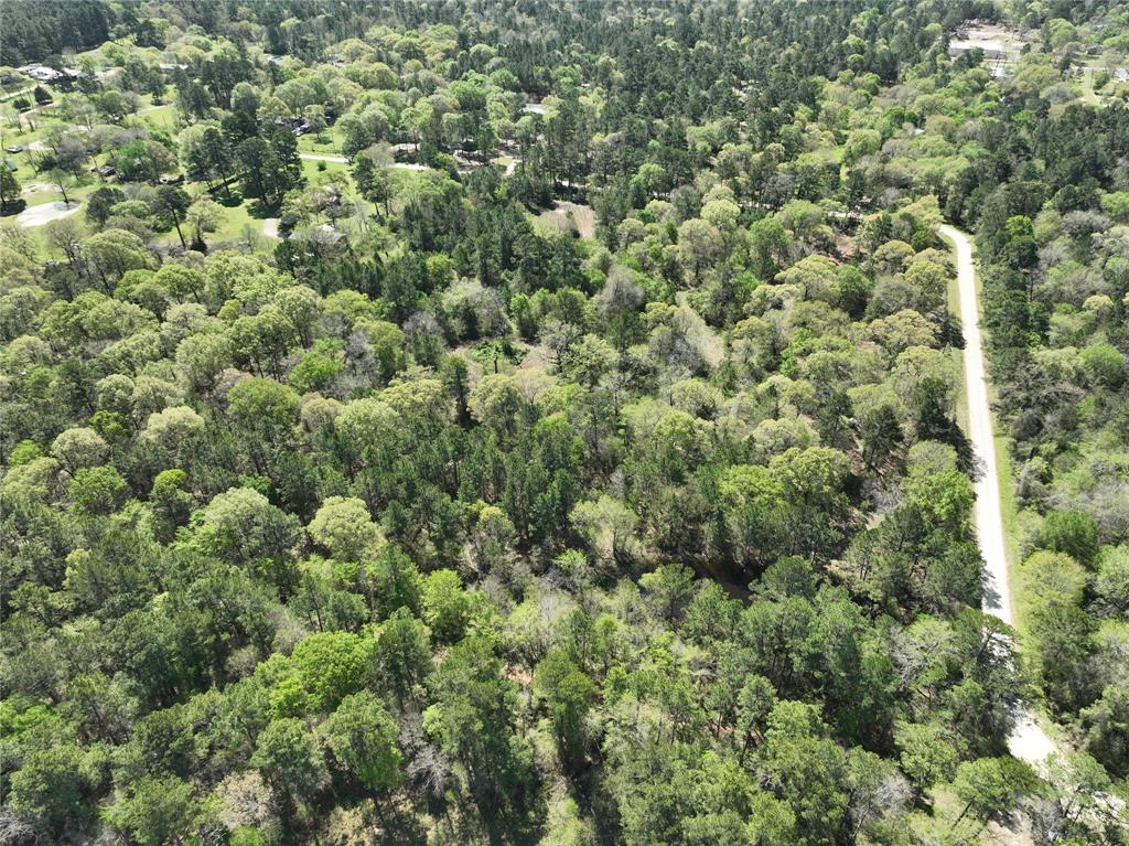 TBD Cr 351, Plantersville, Texas image 10