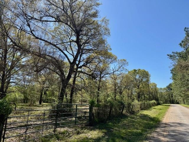 TBD Cr 351, Plantersville, Texas image 2