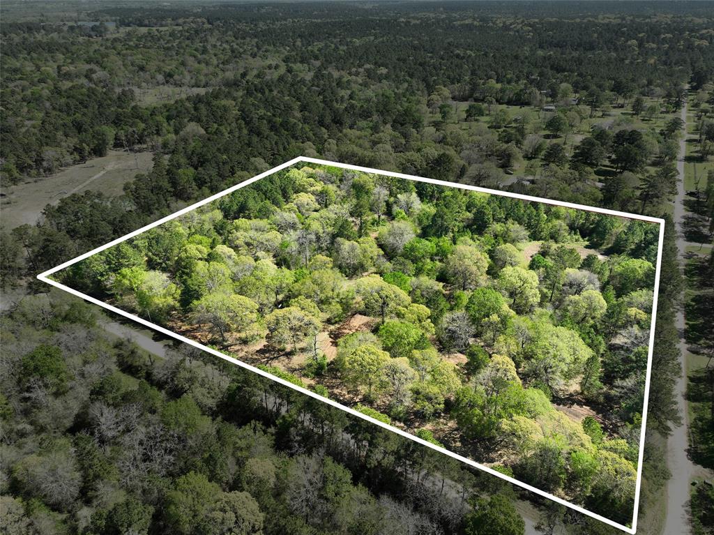 TBD Cr 351, Plantersville, Texas image 22