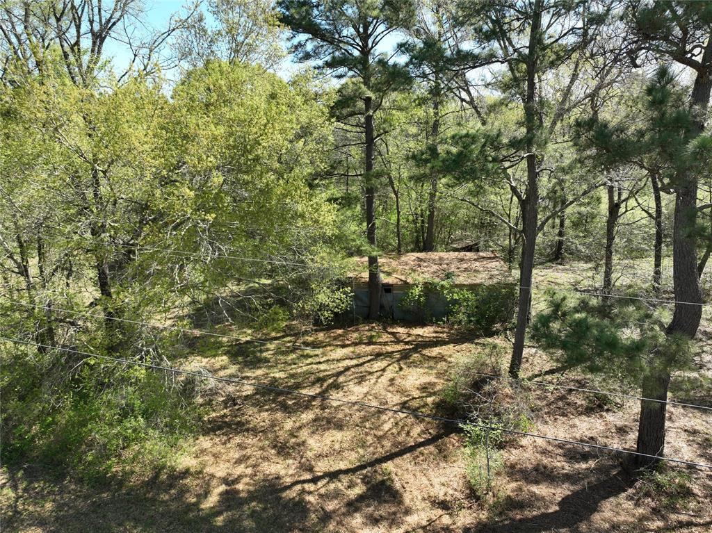 TBD Cr 351, Plantersville, Texas image 5