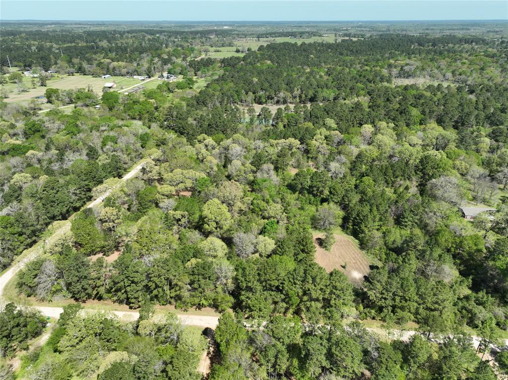 TBD Cr 351, Plantersville, Texas image 18