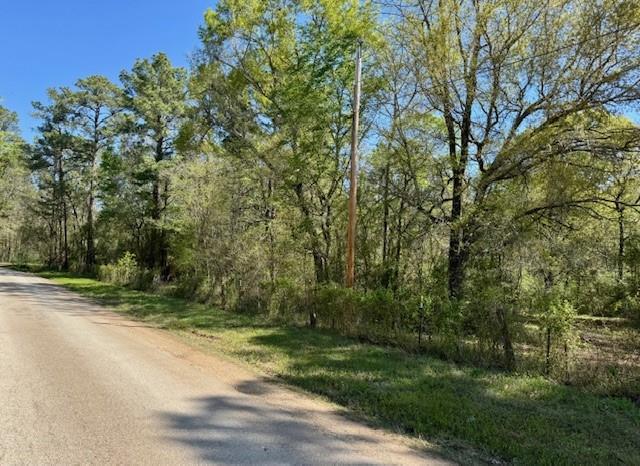 TBD Cr 351, Plantersville, Texas image 26