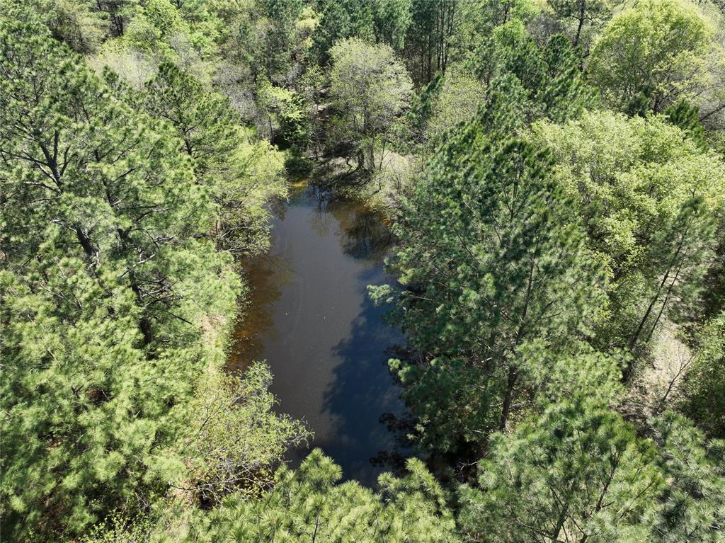 TBD Cr 351, Plantersville, Texas image 8