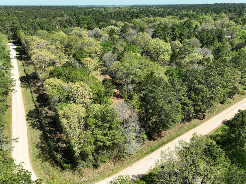 TBD Cr 351, Plantersville, Texas image 20