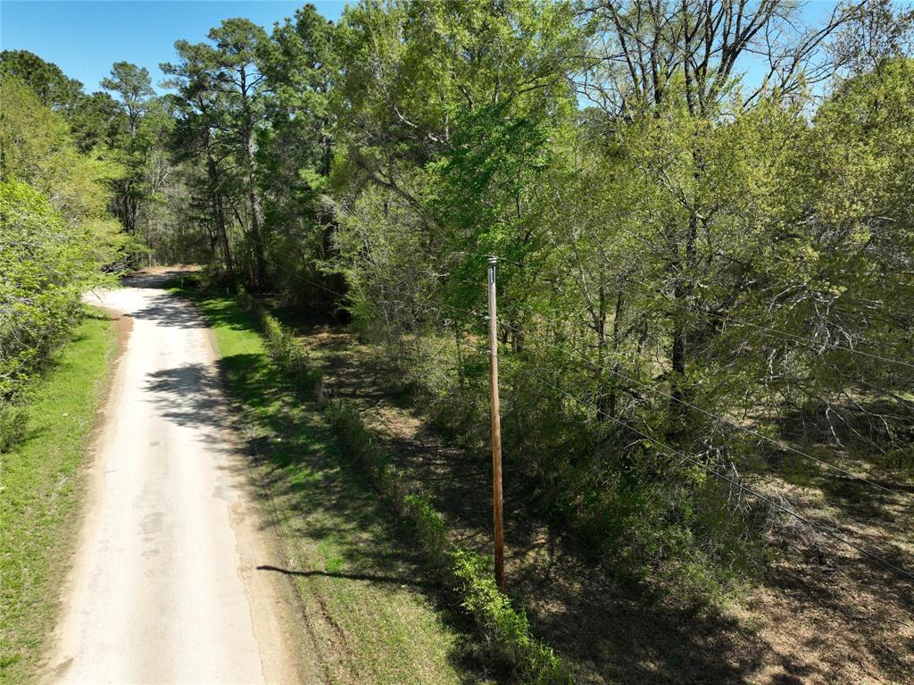 TBD Cr 351, Plantersville, Texas image 6