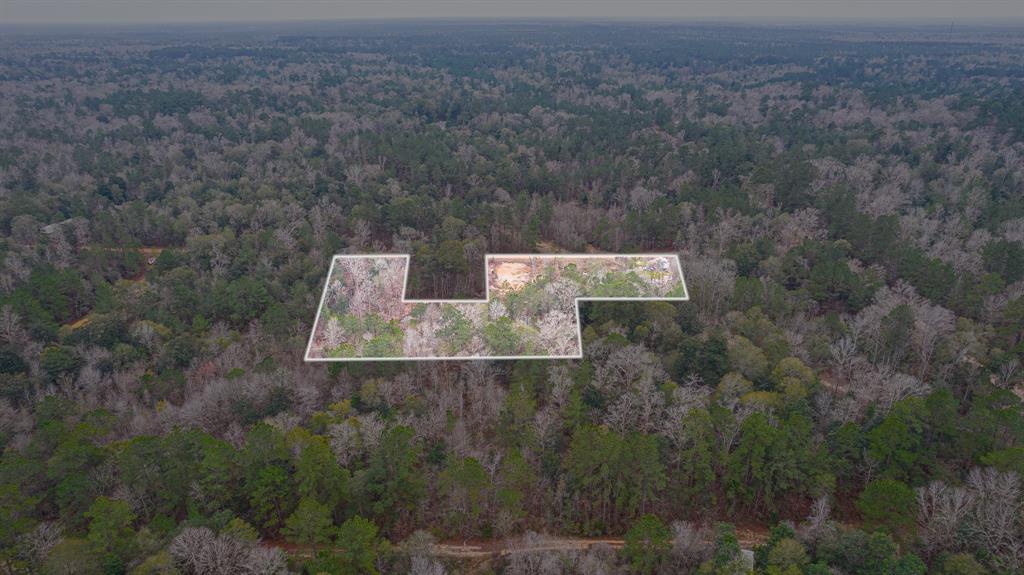 County Road 2800, Cleveland, Texas image 4