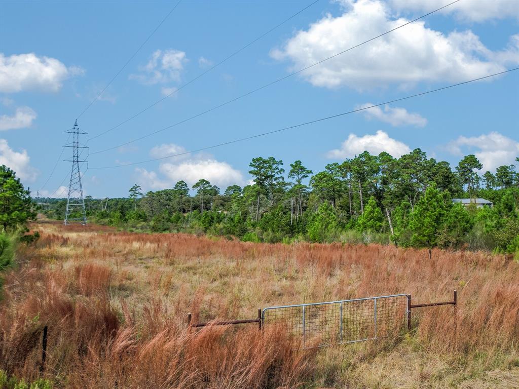 210 Old Antioch Road, Smithville, Texas image 6