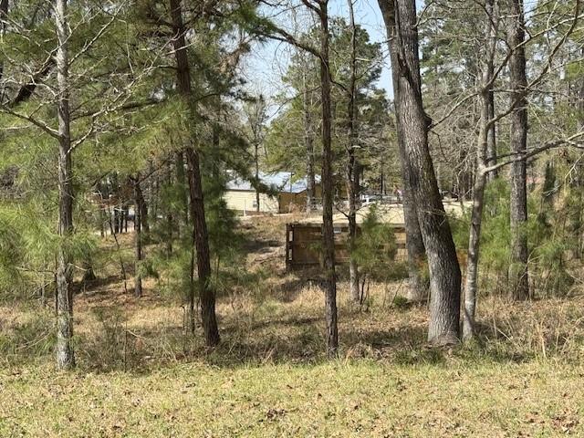 Lots 319 Oakwood Ln, Trinity, Texas image 4