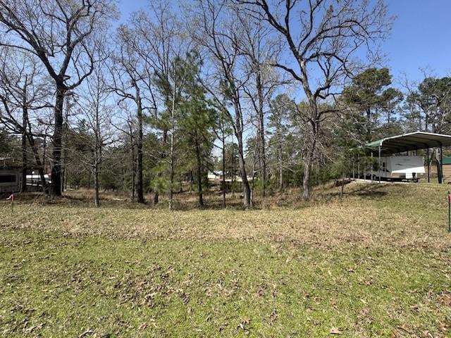 Lots 319 Oakwood Ln, Trinity, Texas image 2