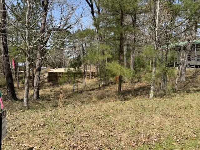 Lots 319 Oakwood Ln, Trinity, Texas image 1