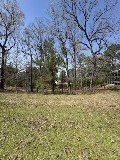 Lots 319 Oakwood Ln, Trinity, Texas image 3