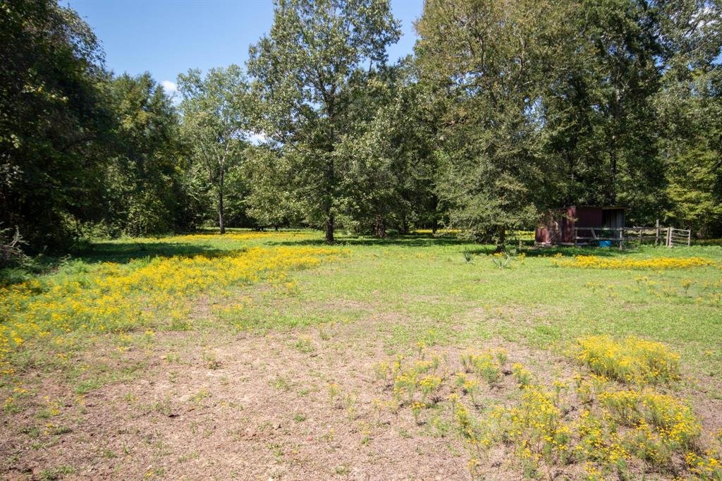 450 Buck Creek Road, Shepherd, Texas image 8