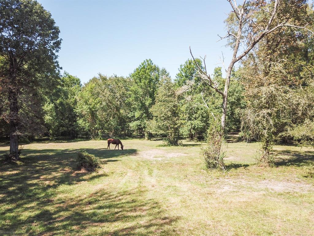 450 Buck Creek Road, Shepherd, Texas image 7