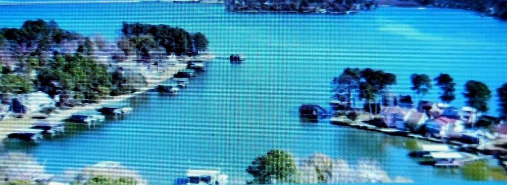 TBD Whisperwood Lot 61 Drive, Onalaska, Texas image 6