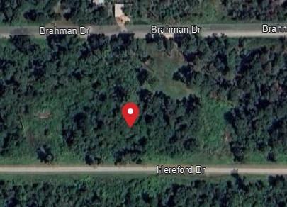 Lot 42 Hereford, Onalaska, Texas image 4