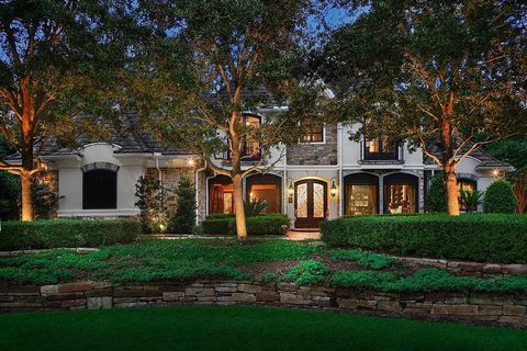 14 N Palmiera Circle The Woodlands TX 77382